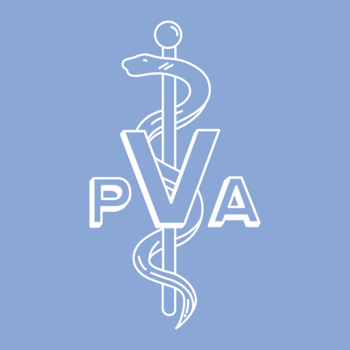 Gildan DryBlend 50/50 T-Shirt -- Carolina Blue