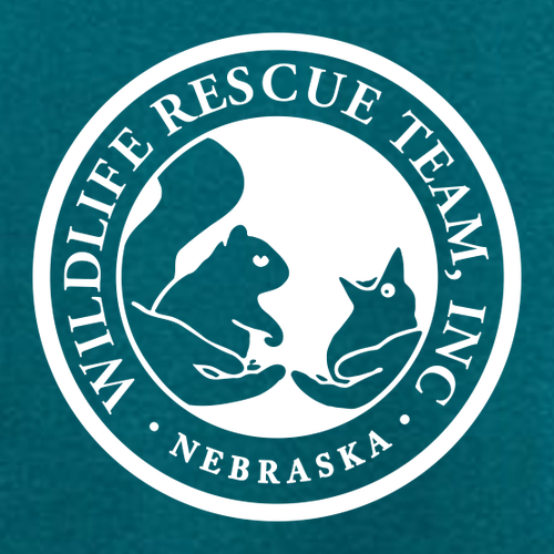 J. America BTB Fleece Crew -- Storm