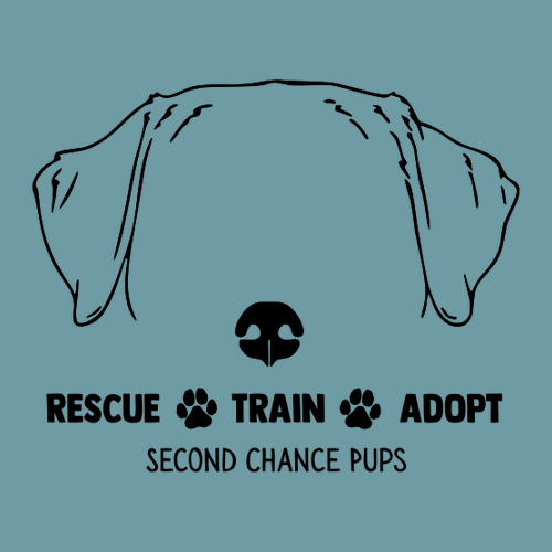 American Apparel CVC Unisex Raglan T-Shirt -- White / Heather Arctic