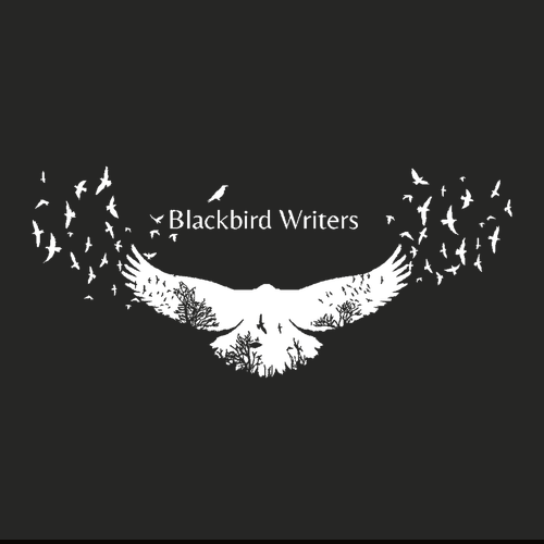 District Perfect Tri  French Terry Full-Zip Hoodie -- Black