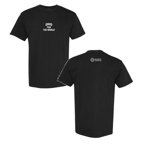 Comfort Colors Unisex Garment-Dyed Heavyweight T-Shirt -- Black