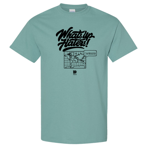 Gildan Heavy Cotton Basic T-Shirt -- Aquatic