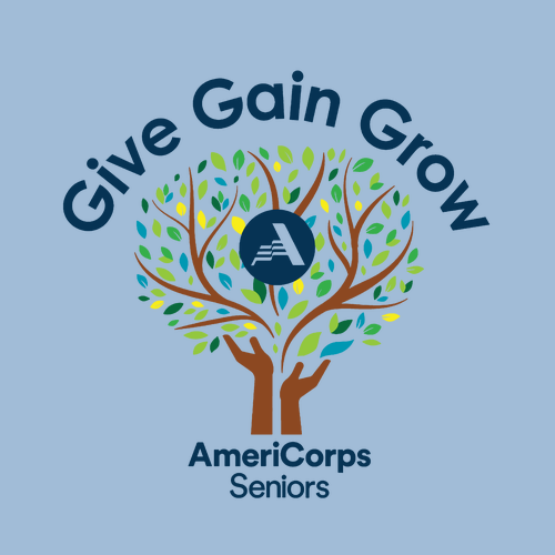 Gildan Ultra Cotton Longsleeve Basic T-Shirt -- Light Blue