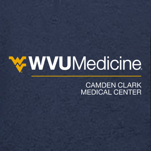 Charles River Mens Heathered Fleece Pullover -- Navy Heather