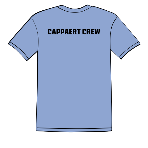 Gildan Heavy Cotton Basic T-Shirt -- Carolina Blue