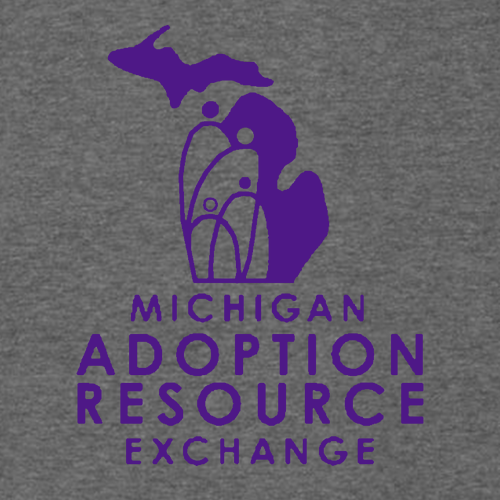 Gildan Adult Hooded Tee -- Heather Dark Grey