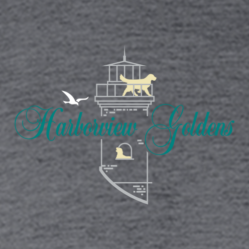 Gildan SoftStyle Fitted T-Shirt -- Dark Heather