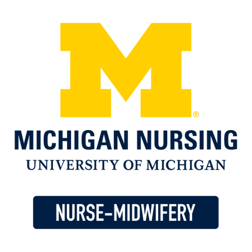 Gildan Heavy Cotton Longsleeve Basic T-Shirt -- White, Nurse-Midwifery