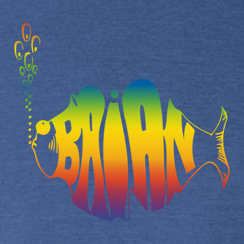 YOUTH Gildan Softstyle T-Shirt -- Heather Royal