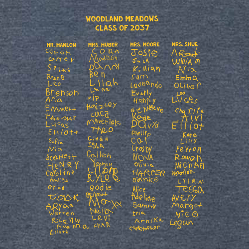 Youth Gildan Softstyle T-Shirt -- Heather Navy