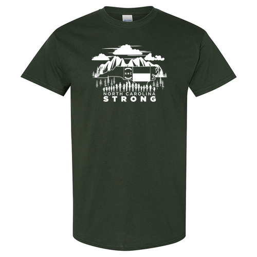 Gildan Heavy Cotton Basic T-Shirt -- Forest Green