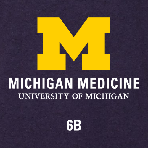 Gildan Heavy Cotton Basic T-Shirt -- Blackberry