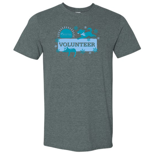 Gildan SoftStyle Fitted T-Shirt -- Dark Heather