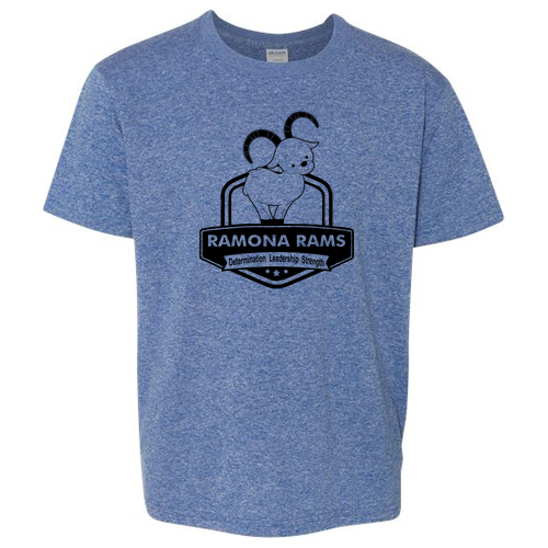 Gildan Youth Softstyle T-Shirt -- Heather Royal