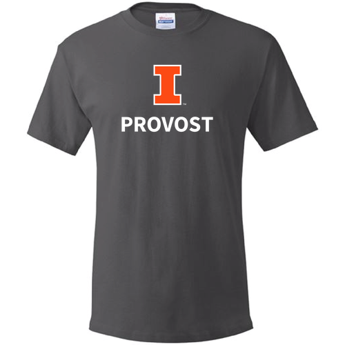 Hanes Essential ComfortSoft Short Sleeve Tee -- Smoke Grey