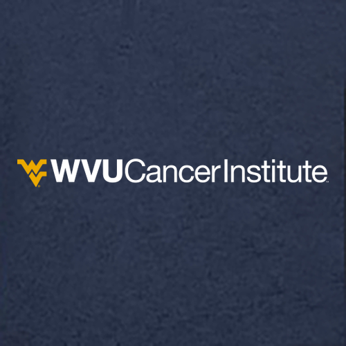 Charles River Womens Heathered Fleece Pullover -- Navy Heather