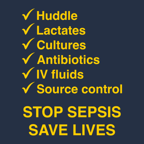 Gildan SoftStyle Fitted T-Shirt -- Navy, Could This Be Sepsis