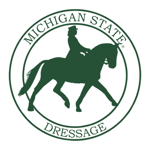 Gildan Heavy Cotton Basic T-Shirt -- White