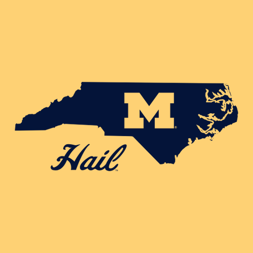 Ladies Next Level Soft Fitted Ideal V-Neck -- Banana Cream