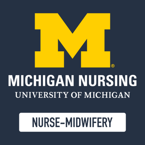 Gildan Heavy Cotton Longsleeve Basic T-Shirt -- Navy, Nurse-Midwifery