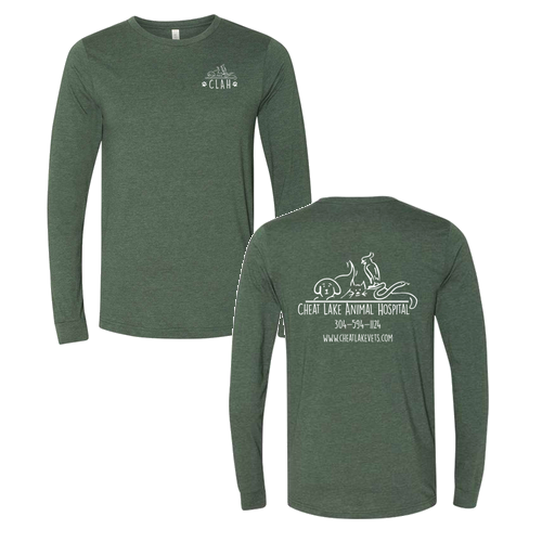 Bella+Canvas Unisex Heather Cvc Long Sleeve Tee- Heathers -- Heather Forest