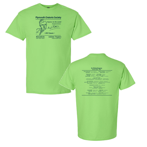 Gildan Ultra Cotton Basic T-Shirt -- Lime