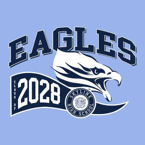 Gildan Heavy Cotton Basic T-Shirt -- Carolina Blue, Sophomores