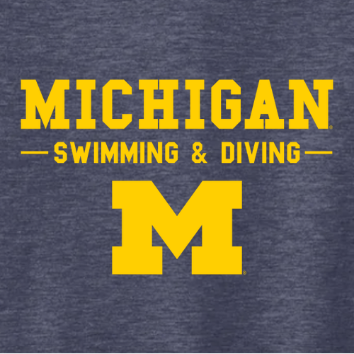 Ladies District Women's Very Important Tee Long Sleeve V-Neck -- Heathered Navy