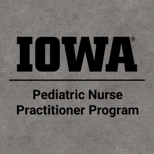 Pediatric Nurse Practitioner Bella Canvas Unisex Heather CVC T-Shirt -- Deep Heather