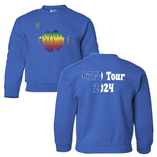 Gildan Heavy Blend Youth Crew Neck Sweatshirt -- Royal