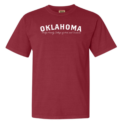 Comfort Colors Ringspun Garment Dyed T Shirt -- Crimson