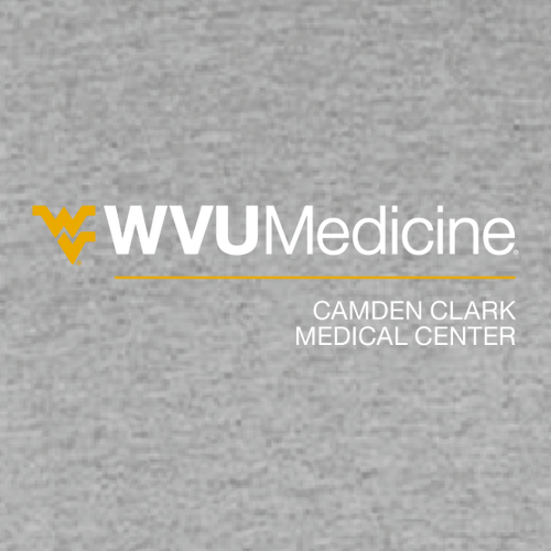 Gildan Heavy Cotton Longsleeve Basic T-Shirt -- Sport Grey