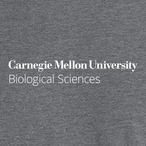 Gildan DryBlend 50/50 T-Shirt -- Graphite Heather