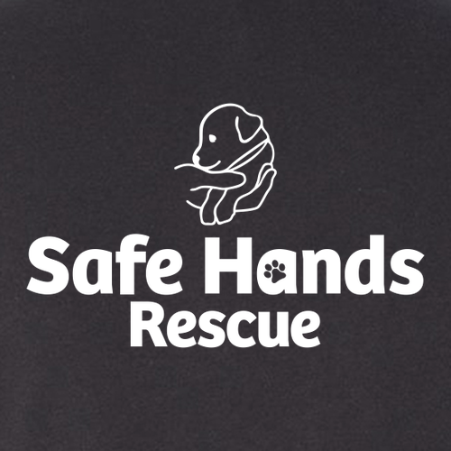 Bella Canvas Ladies Jersey Muscle Tank -- Dark Grey Heather