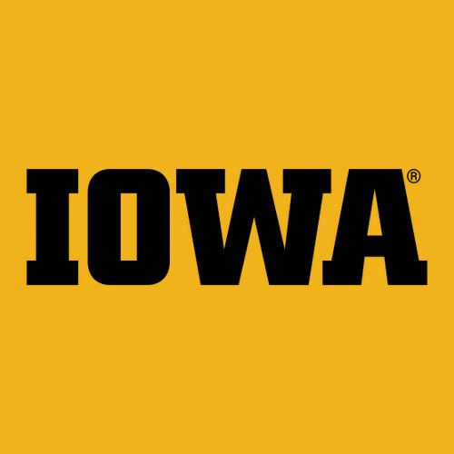 Gildan Ultra Cotton Longsleeve Basic T-Shirt -- Gold