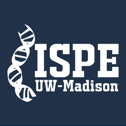 Gildan Heavy Cotton Navy T-Shirt