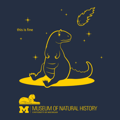 Gildan Heavy Cotton Basic T-Shirt -- Navy