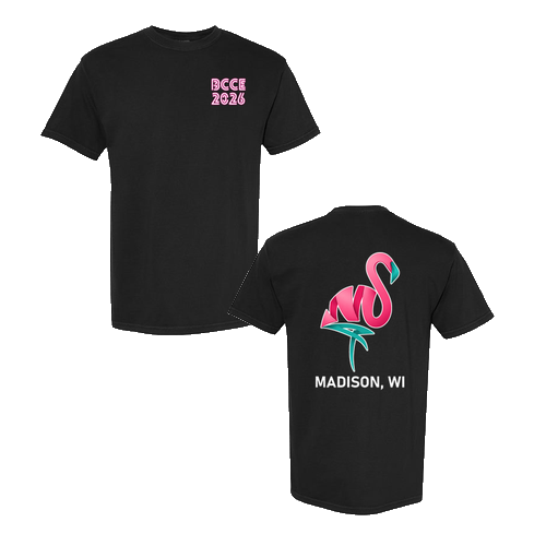 Comfort Colors Unisex Garment-Dyed Heavyweight T-Shirt -- Black