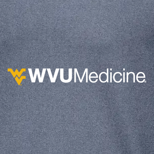 Charles River Mens Heathered Fleece Pullover -- Navy Heather