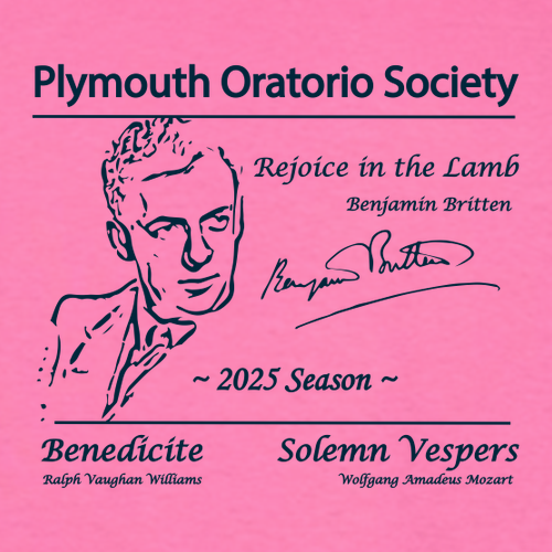 Gildan Ultra Cotton Basic T-Shirt -- Azalea