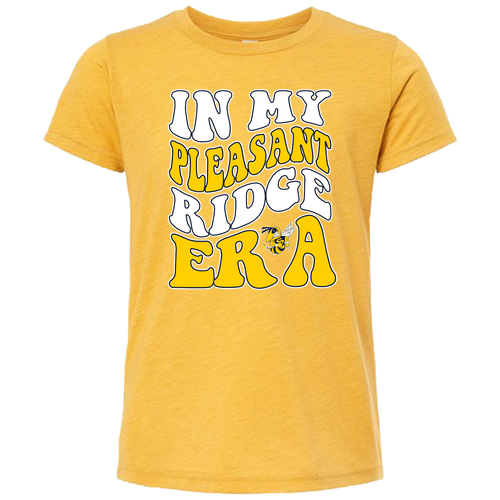 Youth Bella Canvas Soft Fitted Triblend Short Sleeve Tee -- Mustard Triblend