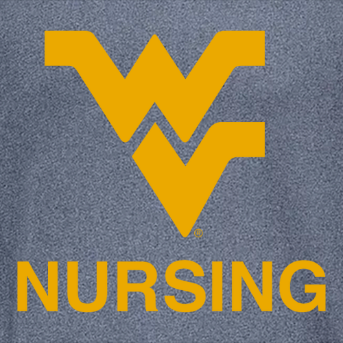 Charles River Womens Heathered Fleece Pullover -- Navy Heather