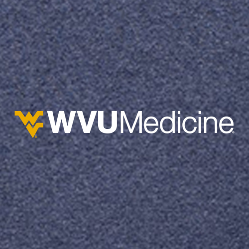 Charles River Mens Heathered Fleece Pullover -- Navy Heather