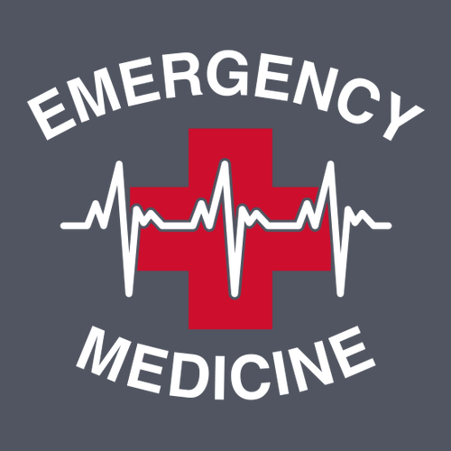 Gildan SoftStyle T-Shirt -- Charcoal