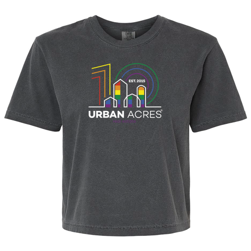 Comfort Color Lady's Heavyweight Boxy Tee -- Pepper