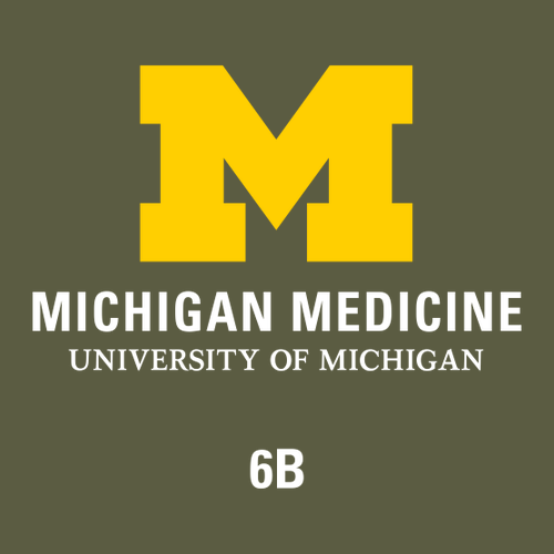 Gildan Heavy Cotton Basic T-Shirt -- Military Green