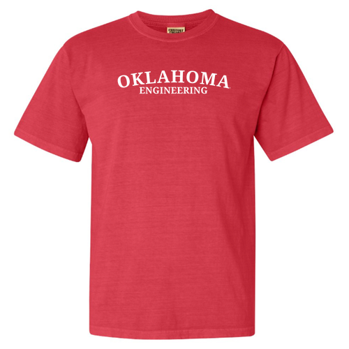 Comfort Colors Unisex Garment-Dyed Heavyweight T-Shirt -- Watermelon