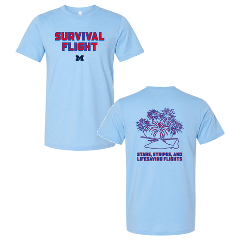 Mens/Unisex Bella Canvas Soft Fitted Heather CVC T-Shirt -- Heather Carolina Blue