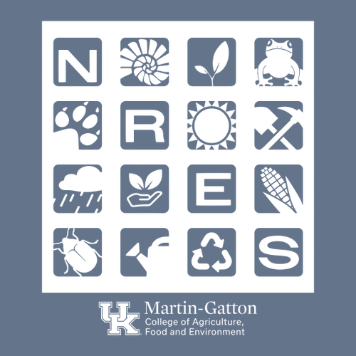 Gildan Heavy Blend Crew Neck Sweatshirt -- Indigo Blue