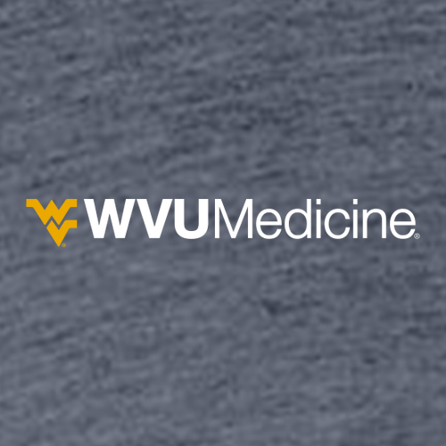 Charles River Womens Heathered Fleece Pullover -- Navy Heather